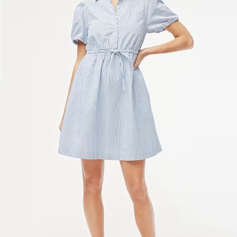 J. Crew Collared Pin Stripe Sundress
